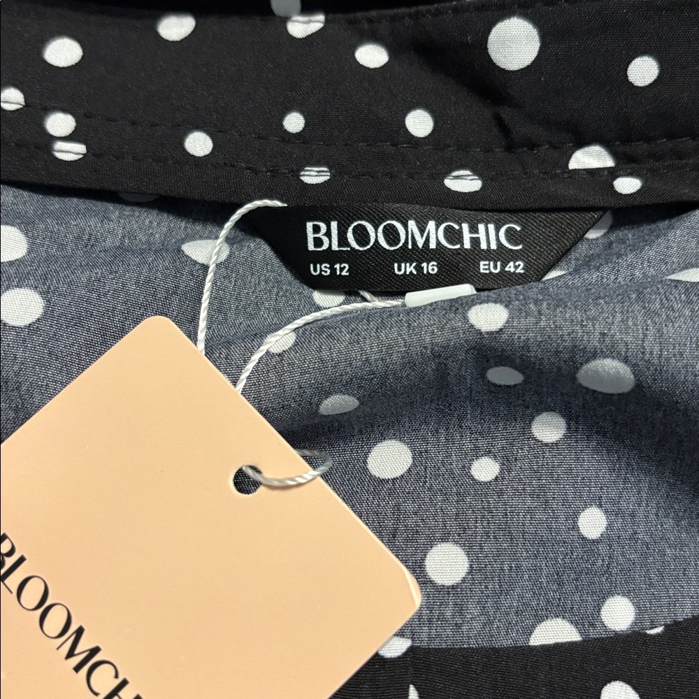 BloomChic Polka Dot Dress - Picture 9 of 10